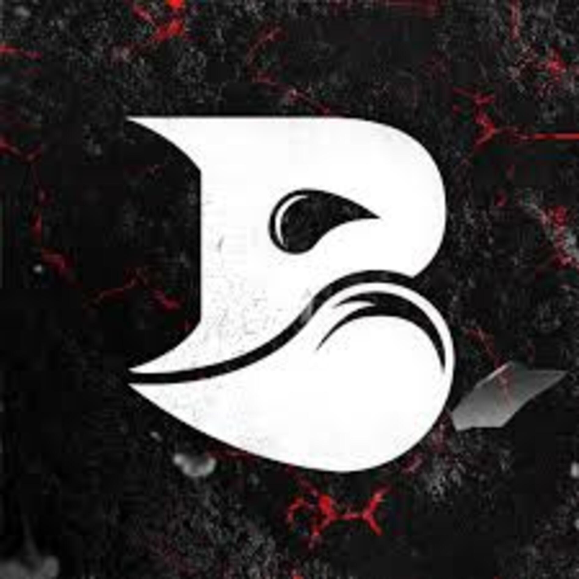 Bleed Esports підсилюється: nexа приєднується до команди, замінивши faveN
