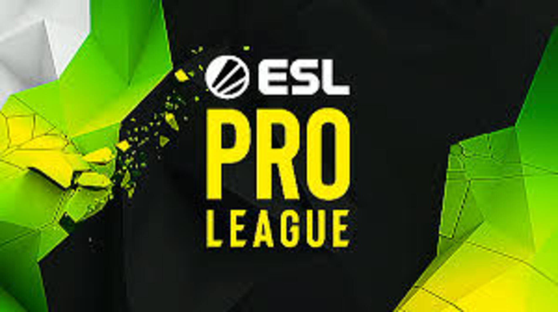 З'ясувалися перші пари матчів групового етапу ESL Pro League S20
