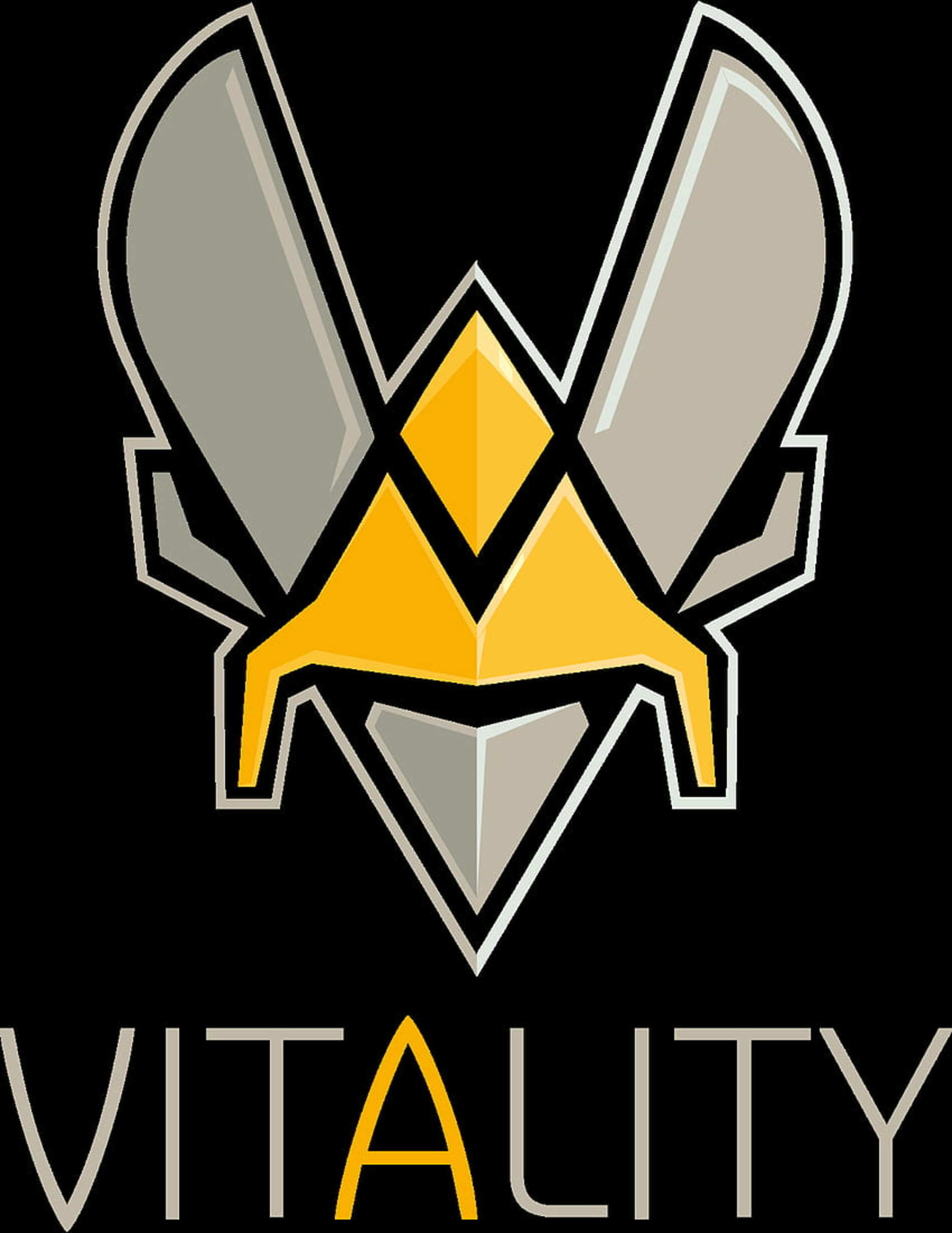 Team Vitality перемогла Team Liquid у вирішальному матчі