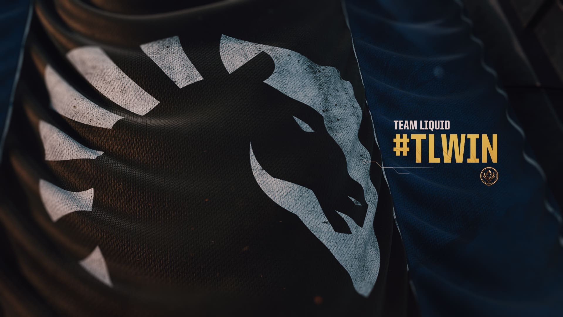 Team Liquid оголошує про партнерство з ЮНІСЕФ