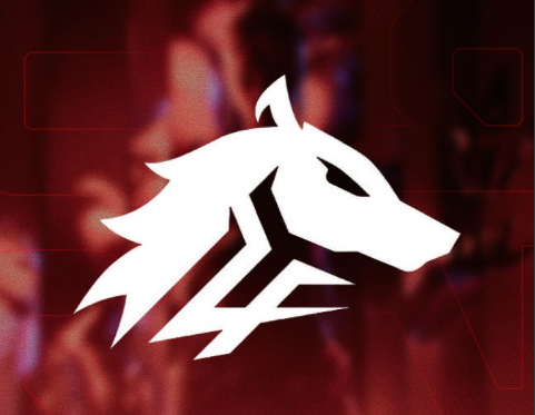 ULF Esports оприлюднили заяву у відповідь на звинувачення щодо затримки виплат зарплат гравцям