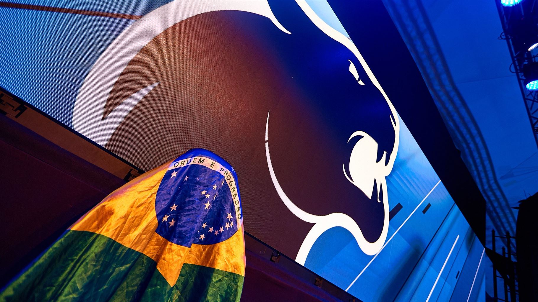 Furia Brazil